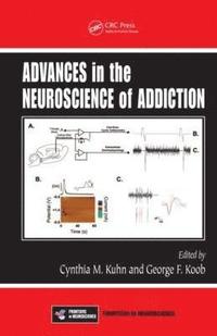 bokomslag Advances in the Neuroscience of Addiction
