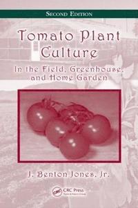 bokomslag Tomato Plant Culture