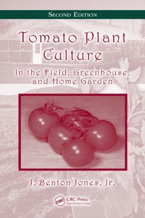 Tomato Plant Culture 1