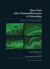bokomslag Mayo Clinic Atlas of Immunofluorescence in Dermatology