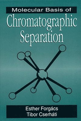 bokomslag Molecular Basis of Chromatographic Separation