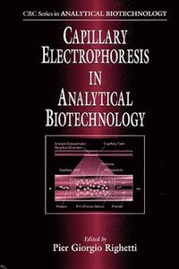 bokomslag Capillary Electrophoresis in Analytical Biotechnology