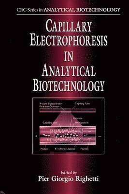 Capillary Electrophoresis in Analytical Biotechnology 1