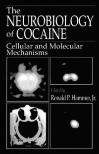 bokomslag The Neurobiology of Cocaine