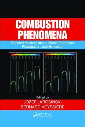 bokomslag Combustion Phenomena