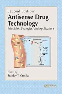 bokomslag Antisense Drug Technology