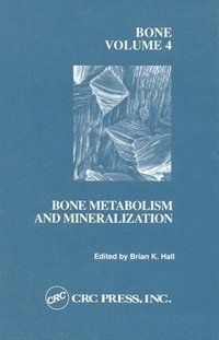 bokomslag Bone, Volume IV