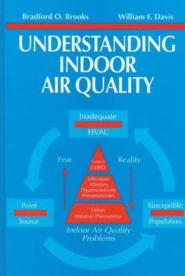 bokomslag Understanding Indoor Air Quality