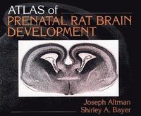 bokomslag Atlas of Prenatal Rat Brain Development