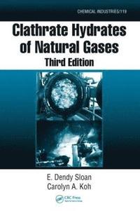 bokomslag Clathrate Hydrates of Natural Gases
