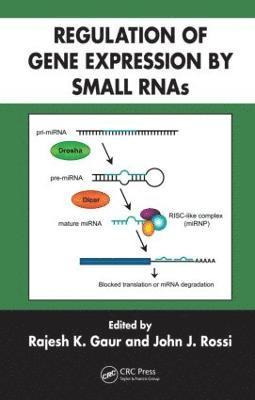 Regulation of Gene Expression by Small RNAs 1
