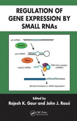 Rajesh K. Gaur, John J. Rossi, USA) Gaur, Rajesh K. (Beckman Research Institute, Duarte, California, USA) Rossi, John J. (Beckman Research Institute, Duarte, California - Regulation of Gene Expression by Small RNAs, Inbunden