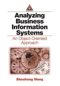 bokomslag Analyzing Business Information Systems