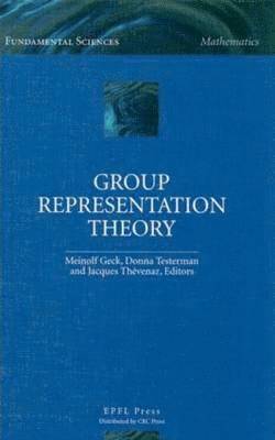 bokomslag Group Representation Theory
