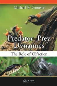 bokomslag Predator-Prey Dynamics