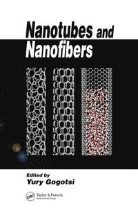 bokomslag Nanotubes and Nanofibers