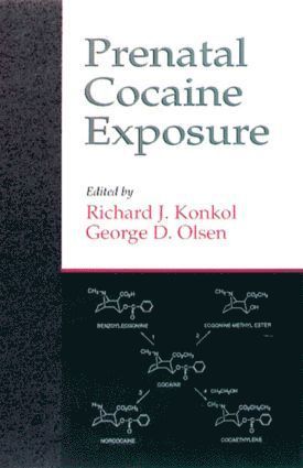 bokomslag Prenatal Cocaine Exposure