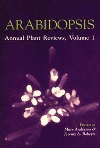 bokomslag Arabidopsis