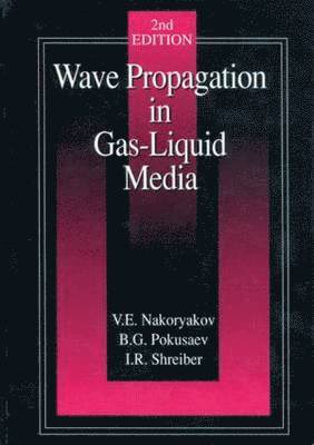 bokomslag Wave Propagation in Gas-Liquid Media