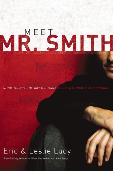 bokomslag Meet Mr. Smith