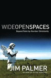 bokomslag Wide Open Spaces