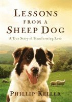 Lessons from a Sheep Dog 1