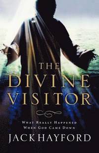 bokomslag Divine Visitor