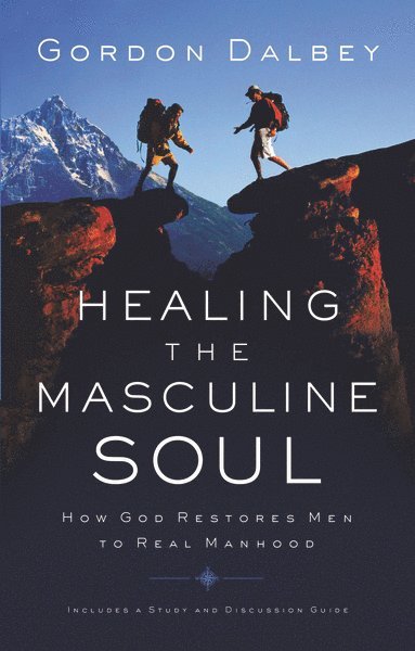 bokomslag Healing the Masculine Soul