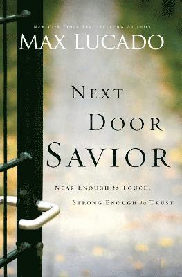 bokomslag Next Door Savior