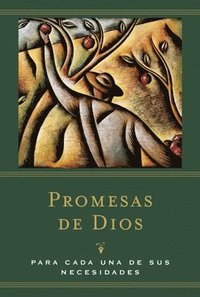 bokomslag Promesas de Dios