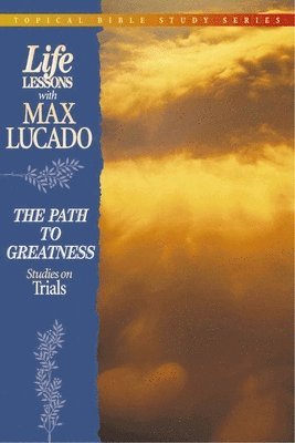 bokomslag Path to Greatness