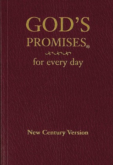 bokomslag God's Promises for Every Day