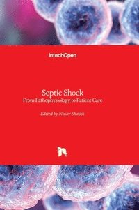bokomslag Septic Shock - From Pathophysiology to Patient Care: From Pathophysiology to Patient Care