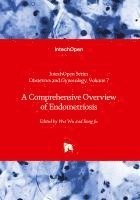 bokomslag A Comprehensive Overview of Endometriosis