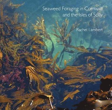 bokomslag Seaweed Foraging in Cornwall and the Isles of Scilly