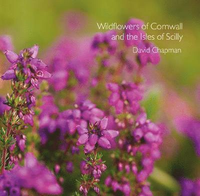 Wildflowers of Cornwall and the Isles of Scilly 1