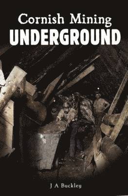 Cornish Mining Underground