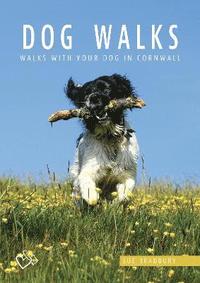 bokomslag Dog Walks in Cornwall