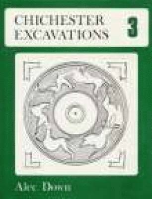 bokomslag Chichester Excavations Volume 3