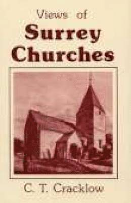 View of Surrey Churches 1