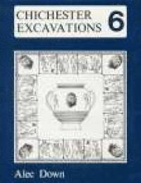 bokomslag Chichester Excavations Volume 6