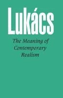 bokomslag Meaning of Contemporary Realism