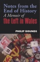 Notes from the End of History