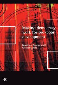 bokomslag Making Democracy Work for Pro-poor Development