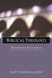 bokomslag Biblical theology