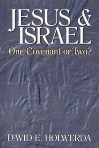 bokomslag Jesus & Israel