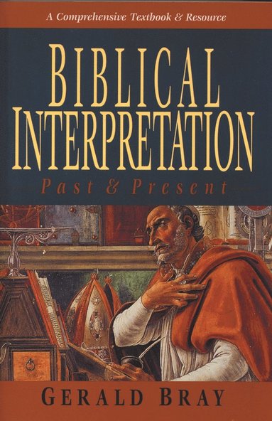 bokomslag Biblical interpretation