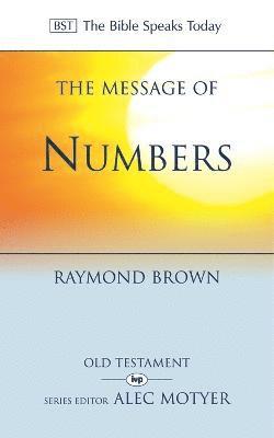 The Message of Numbers 1