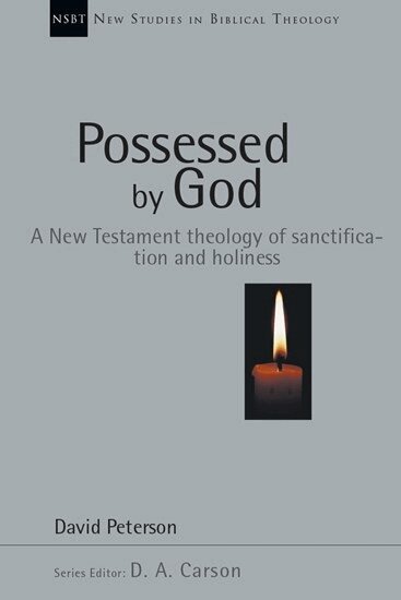 David Peterson - Possessed by God, Häftad