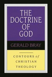 bokomslag The Doctrine of God